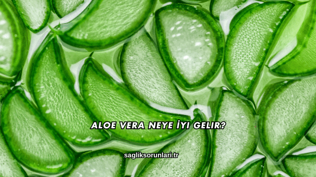 Aloe Vera Neye İyi Gelir?