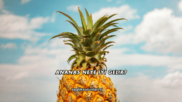 Ananas Neye İyi Gelir?