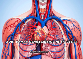 Aort Damar Genişlemesine Ne İyi Gelir?