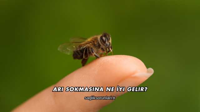 Arı Sokmasına Ne İyi Gelir?