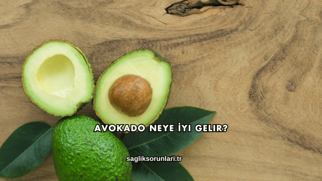 Avokado Neye İyi Gelir?