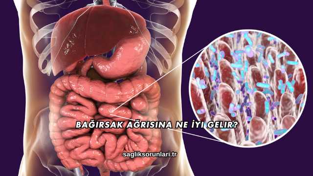 Bağırsak Ağrısına Ne İyi Gelir?