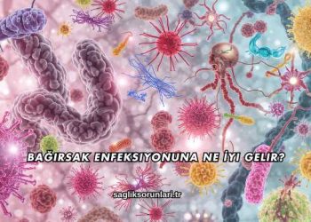 Bağırsak Enfeksiyonuna Ne İyi Gelir?