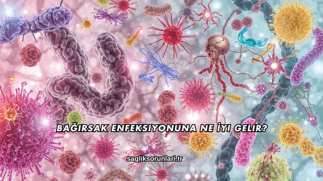 Bağırsak Enfeksiyonuna Ne İyi Gelir?