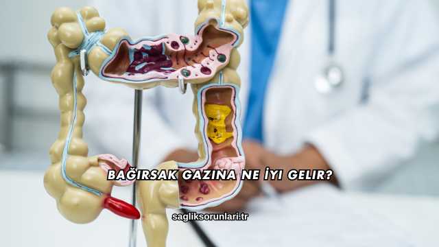 Bağırsak Gazına Ne İyi Gelir?