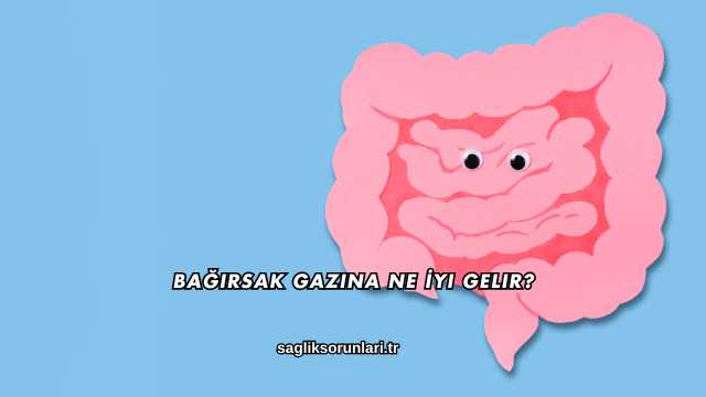 Bağırsak Gazına Ne İyi Gelir?