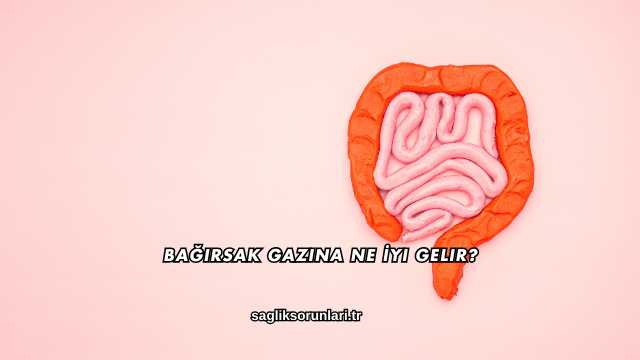 Bağırsak Gazına Ne İyi Gelir?