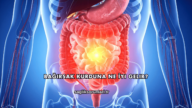 Bağırsak Kurduna Ne İyi Gelir?