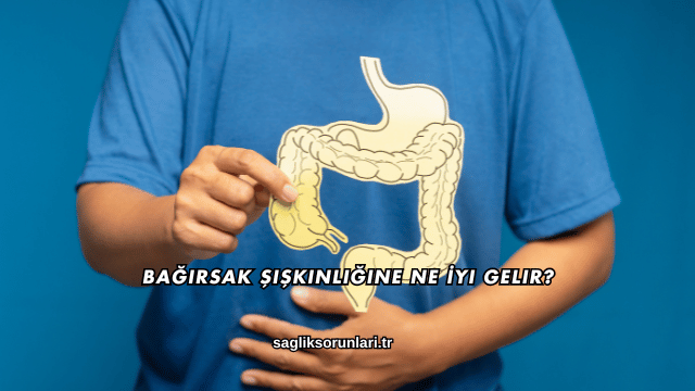 Bağırsak Şişkinliğine Ne İyi Gelir?