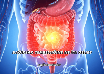 Bağırsak Tembelliğine Ne İyi Gelir?