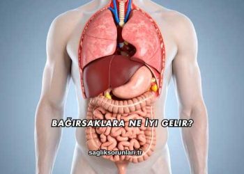 Bağırsaklara Ne İyi Gelir?