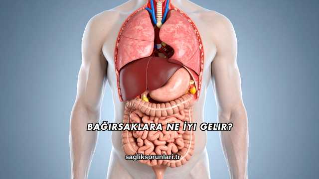 Bağırsaklara Ne İyi Gelir?