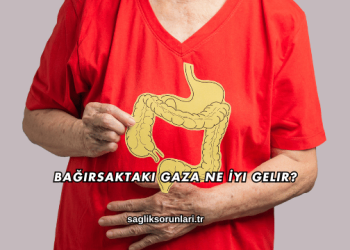 Bağırsaktaki Gaza Ne İyi Gelir?