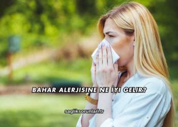 Bahar Alerjisine Ne İyi Gelir?