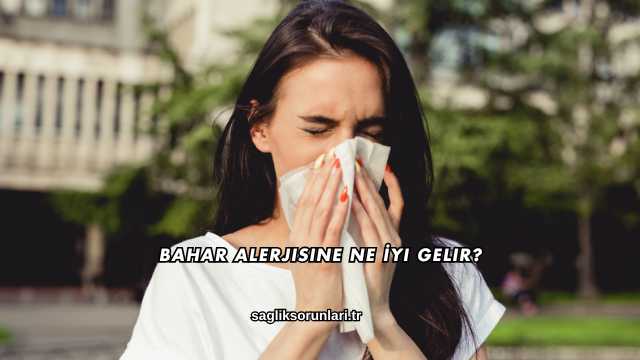 Bahar Alerjisine Ne İyi Gelir?