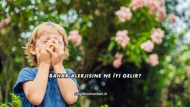 Bahar Alerjisine Ne İyi Gelir?
