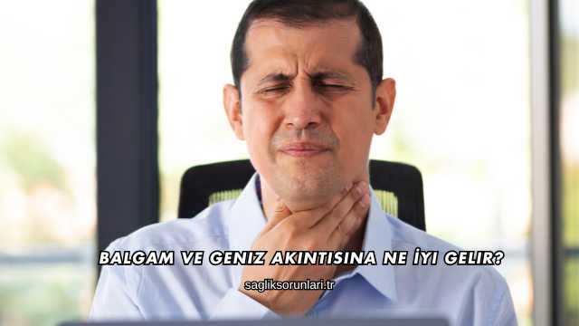 Balgam ve Geniz Akıntısına Ne İyi Gelir?