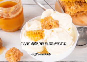 Ballı Süt Neye İyi Gelir?