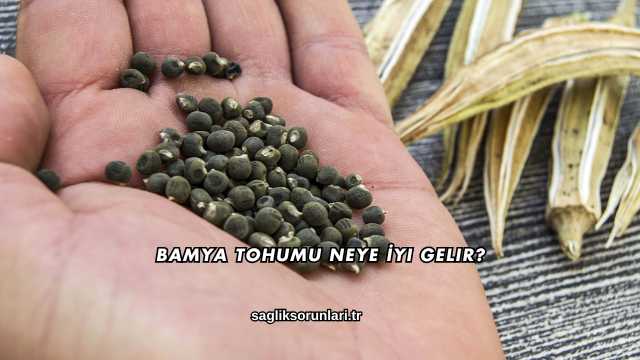 Bamya Tohumu Neye İyi Gelir?