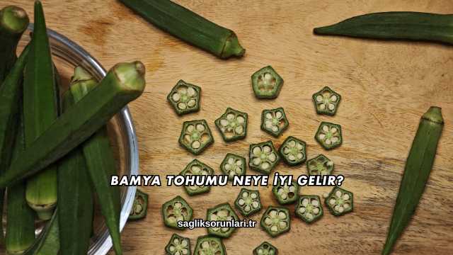Bamya Tohumu Neye İyi Gelir?