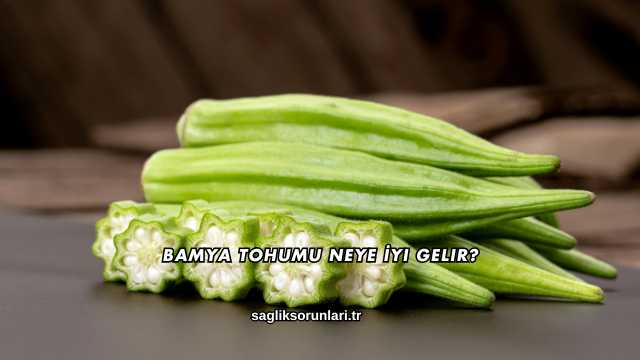 Bamya Tohumu Neye İyi Gelir?