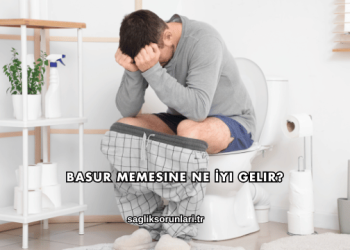 Basur Memesine Ne İyi Gelir?