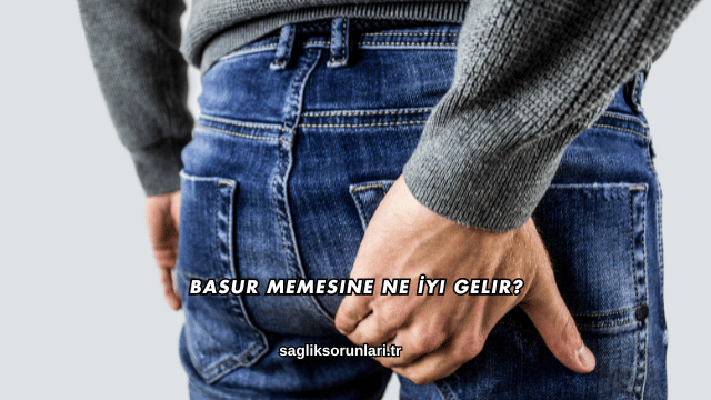 Basur Memesine Ne İyi Gelir?