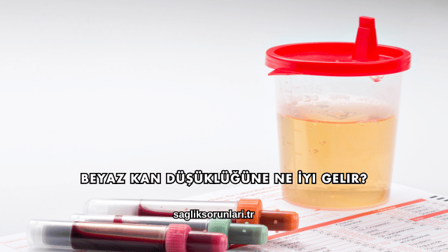 Beyaz Kan Düşüklüğüne Ne İyi Gelir?