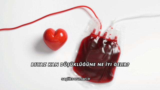 Beyaz Kan Düşüklüğüne Ne İyi Gelir?