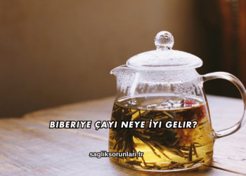 Biberiye Çayı Neye İyi Gelir?