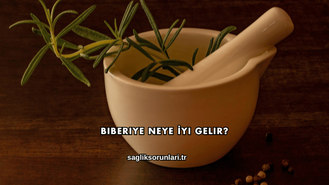 Biberiye Neye İyi Gelir?