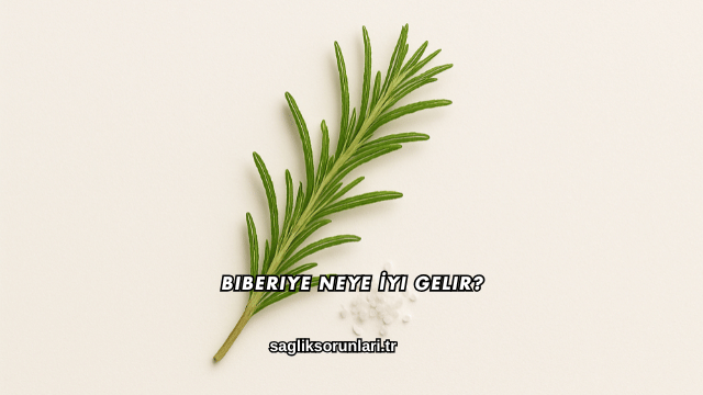 Biberiye Neye İyi Gelir?