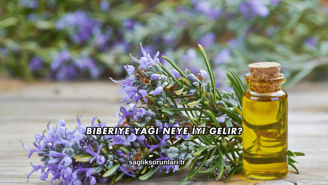 Biberiye Yağı Neye İyi Gelir?