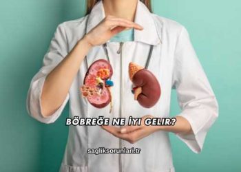Böbreğe Ne İyi Gelir?