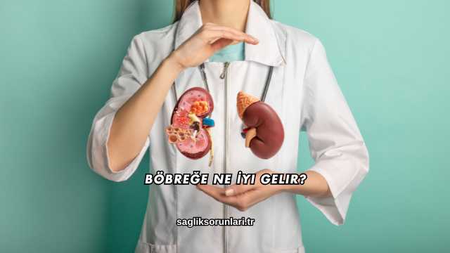Böbreğe Ne İyi Gelir?