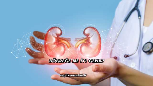 Böbreğe Ne İyi Gelir?