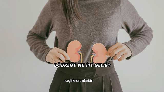 Böbreğe Ne İyi Gelir?
