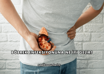 Böbrek Enfeksiyonuna Ne İyi Gelir?