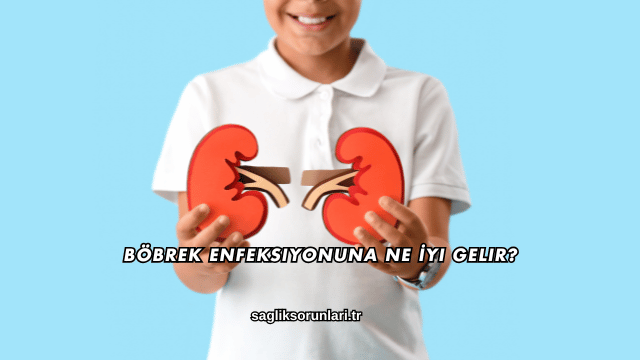 Böbrek Enfeksiyonuna Ne İyi Gelir?