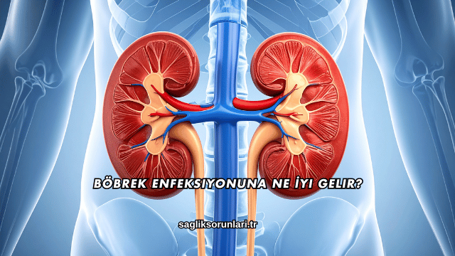 Böbrek Enfeksiyonuna Ne İyi Gelir?