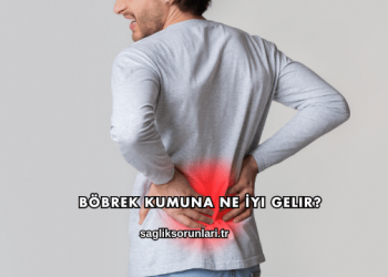 Böbrek Kumuna Ne İyi Gelir?