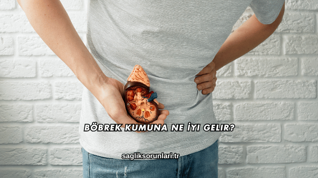 Böbrek Kumuna Ne İyi Gelir?
