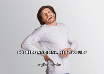 Böbrek Sancısına Ne İyi Gelir?