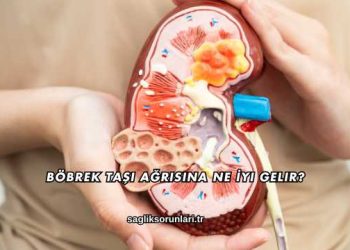 Böbrek Taşı Ağrısına Ne İyi Gelir?