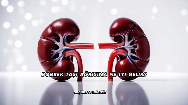 Böbrek Taşı Ağrısına Ne İyi Gelir?