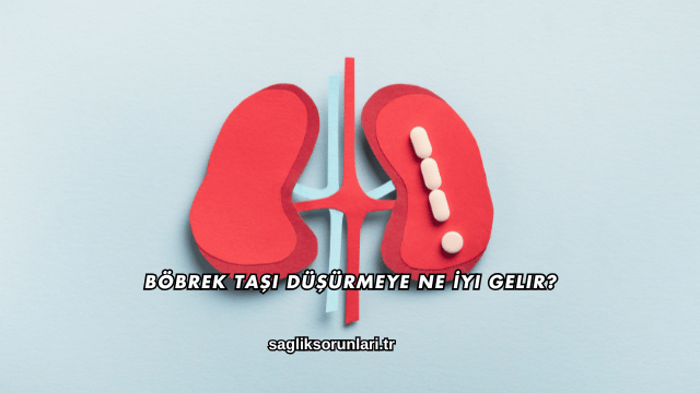 Böbrek Taşı Düşürmeye Ne İyi Gelir?