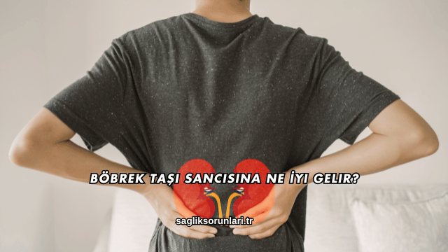 Böbrek Taşı Sancısına Ne İyi Gelir?