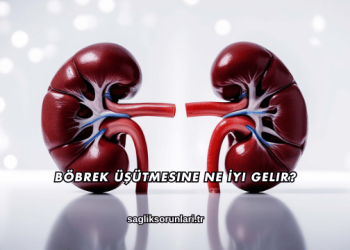 Böbrek Üşütmesine Ne İyi Gelir?