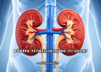 Böbrek Yetmezliğine Ne İyi Gelir?