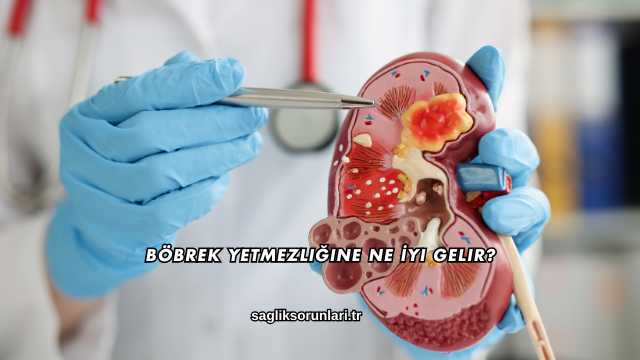 Böbrek Yetmezliğine Ne İyi Gelir?